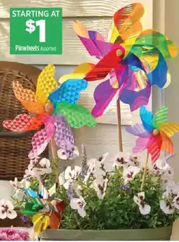 Dollar General Pinwheels Assorted offer