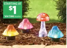 Dollar General Solar Stakes Assorted offer