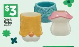 Dollar General Ceramic Planters offer