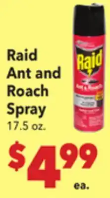 Vallarta Supermarkets Raid Ant and Roach Spray offer