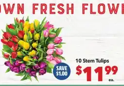 Vallarta Supermarkets 10 Stem Tulips offer