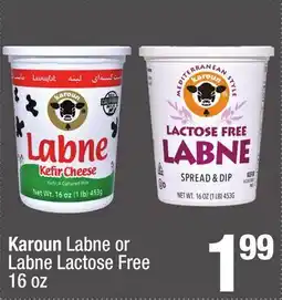 Super King Markets Karoun Labne or Labne Lactose Free offer