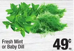 Super King Markets Fresh Mint or Baby Dill offer