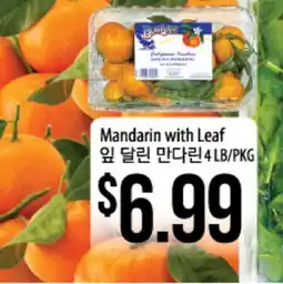 Hmart Mandarin with Leaf offer