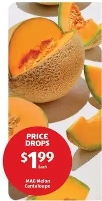 Aldi MAG Melon Cantaloupe offer