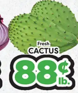 Torres Supermercado Fresh CACTUS offer