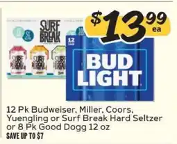 Winn Dixie Budweiser, Miller, Coors, Yuengling, Surf Break Hard Seltzer, Good Dogg offer