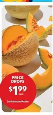 Aldi Cantaloupe Melon offer