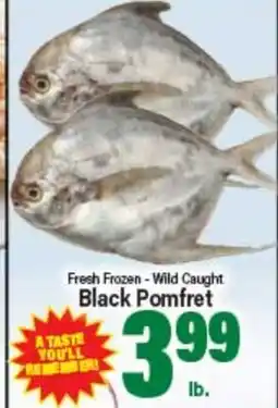 Angelo Caputo's Fresh Market Fresh Frozen - Wild Caught Black Pomfret offer