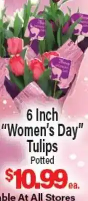 Angelo Caputo's Fresh Market 6 Inch Women's Day Tulips offer