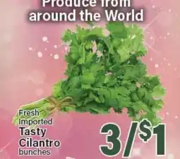 Angelo Caputo's Fresh Market Fresh Imported Tasty Cilantro bunches offer