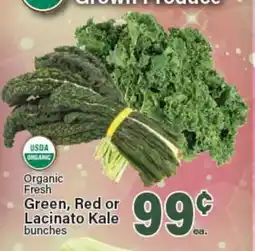 Angelo Caputo's Fresh Market Organic Fresh Green, Red or Lacinato Kale bunches offer
