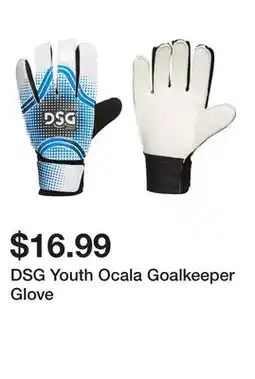 Dick's Sporting Goods DSG Youth Ocala Goalkeeper Glove offer