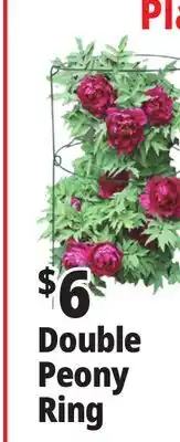 Ocean State Job Lot Peony Double Ring Plant Support 18 x 36 offer