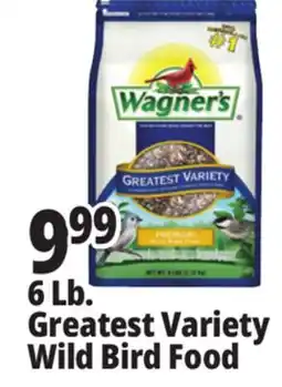 Ocean State Job Lot Wagner's Greatest Variety Deluxe Wild Bird Food 6 lbs offer
