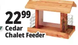 Ocean State Job Lot Cedar Chalet Feeder offer