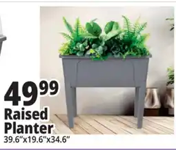 Ocean State Job Lot Raised Planter offer
