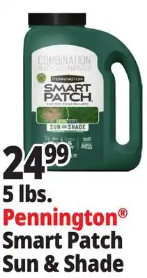 Ocean State Job Lot Pennington Smart Patch Grass Seed Fertilizer Mulch 5 lbs offer
