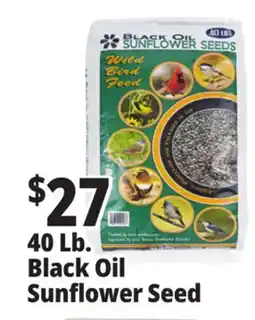 Ocean State Job Lot Black Oil Sunflower Seeds 40 lbs offer