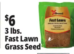 Ocean State Job Lot 3 lbs. Fast Lawn Grass Seed offer