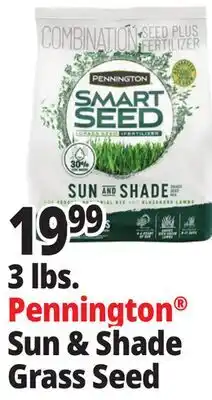 Ocean State Job Lot Pennington Smart Seed Sun & Shade Grass Seed 3 lbs offer
