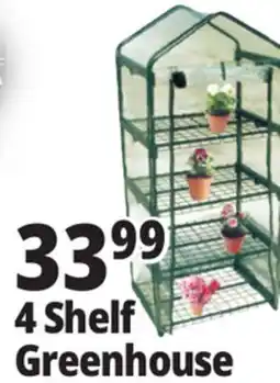 Ocean State Job Lot 4 Shelf Greenhouse offer