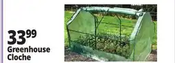 Ocean State Job Lot Greenhouse Cloche offer