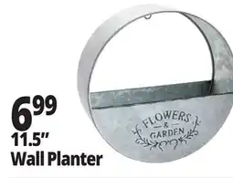 Ocean State Job Lot 11.5 Wall Planter offer