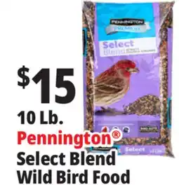 Ocean State Job Lot Pennington Premium Select Blend Bird Seed 10 lb offer