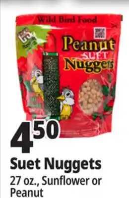 Ocean State Job Lot C&S Sunflower Suet Nuggets 27 oz offer