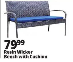 Ocean State Job Lot Resin Wicker Bench with Cushion offer