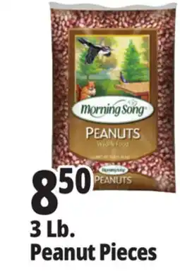 Ocean State Job Lot 3 Lb. Peanut Pieces offer