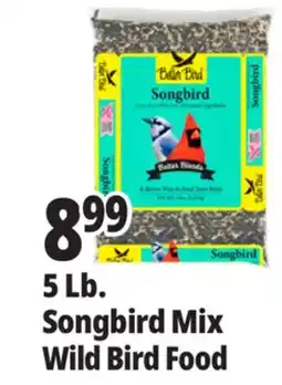 Ocean State Job Lot Better Bird Songbird Better Blends Food 5 lbs offer