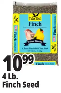 Ocean State Job Lot Better Bird Finch Bird Food 4 lbs offer