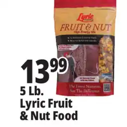 Ocean State Job Lot Lyric Fruit and Nut High Energy Wild Bird Food Mix 5 lbs offer