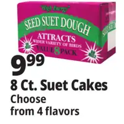 Ocean State Job Lot Seed & Suet High Energy Suet Value Pack 8 Count offer