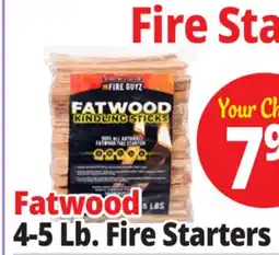 Ocean State Job Lot Fatwood Firestarter offer