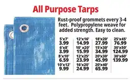 Ocean State Job Lot All Purpose Tarps offer