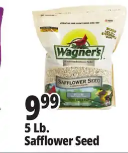 Ocean State Job Lot Wagner's Safflower Seed Deluxe Wild Bird Food offer