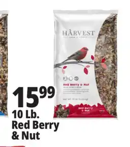 Ocean State Job Lot Harvest Seed & Supply Red Berry & Nut Wild Bird Food 10 lb offer