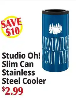 Ocean State Job Lot Studio Oh! Slim Can Stainless Steel Cooler offer