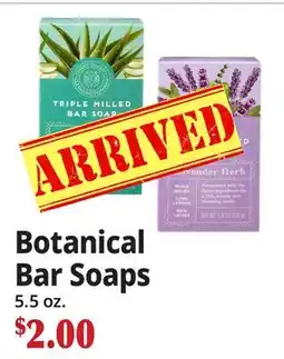 Ocean State Job Lot Botanical Bar Soaps offer