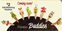 Ocean State Job Lot Self-Watering Planters offer