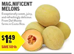 New Seasons Market Mag.nificent melons offer