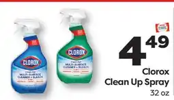 Weis Markets Clorox Clean Up Spray offer