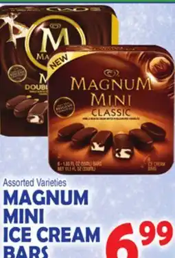 Bravo Supermarkets MAGNUM MINI ICE CREAM BARS offer