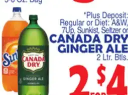 Bravo Supermarkets CANADA DRY GINGER ALE offer