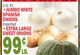 Bravo Supermarkets JUMBO WHITE SPANISH ONIONS, EXTRA LARGE SWEET ONIONS offer