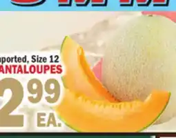 Bravo Supermarkets CANTALOUPES offer