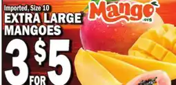 Bravo Supermarkets EXTRA LARGE MANGOES offer